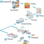 18 poultry-process-diagram3476283054320556792