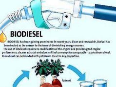 Dịch thuật tài liệu chuyên ngành Hóa Sinh chất lượng nhất