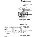 Copy of hanhoi7