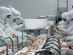 Dịch tài liệu chuyên ngành công nghiệp thực phẩm