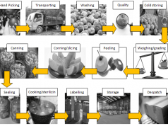 QUY TRÌNH ĐÓNG GÓI TÁO TƯƠI